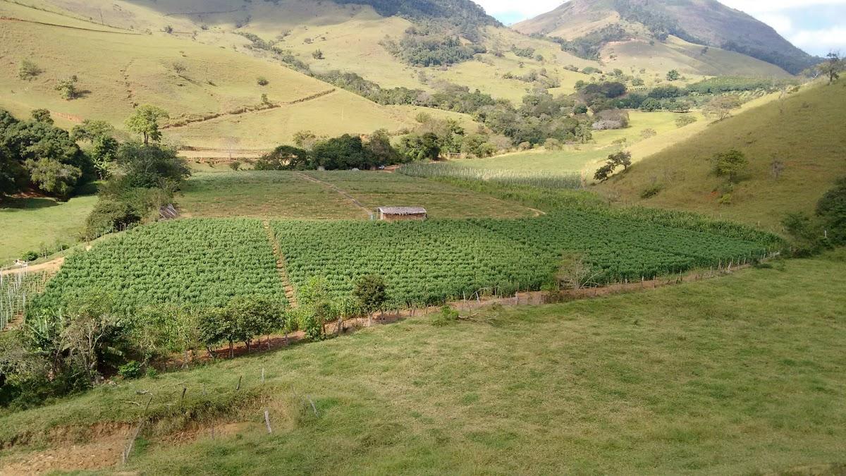 Registro de Marca Guidoval