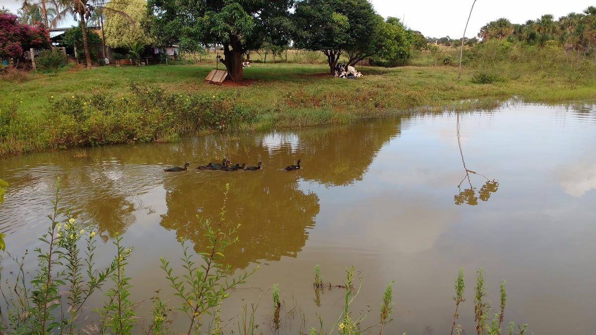 Registro de Marca Gurinhatã