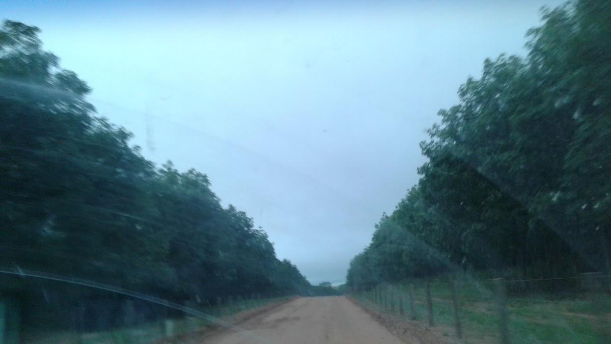 Registro de Marca Guzolândia