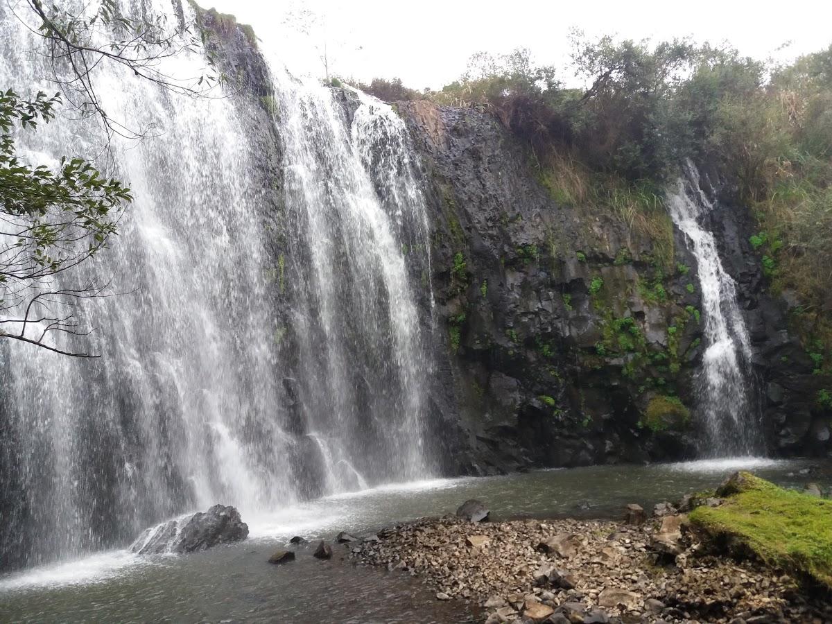 Registro de Marca Honório Serpa