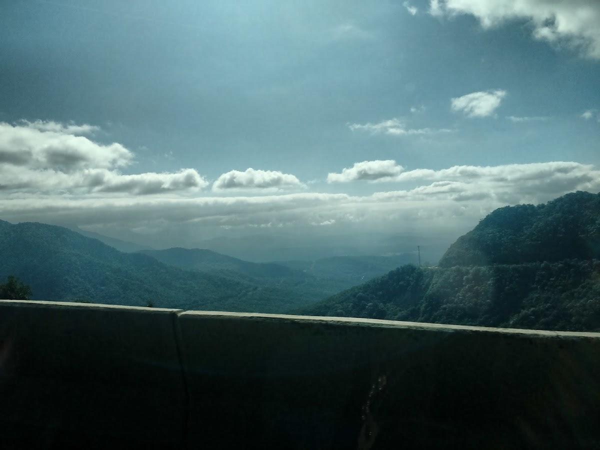 Registro de Marca Ibema