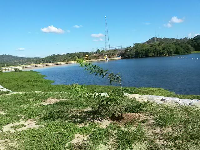 Registro de Marca Ibirapitanga
