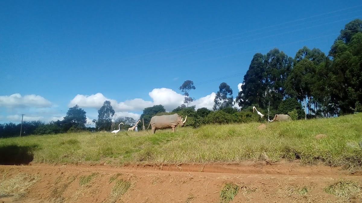 Registro de Marca Ibitiúra de Minas