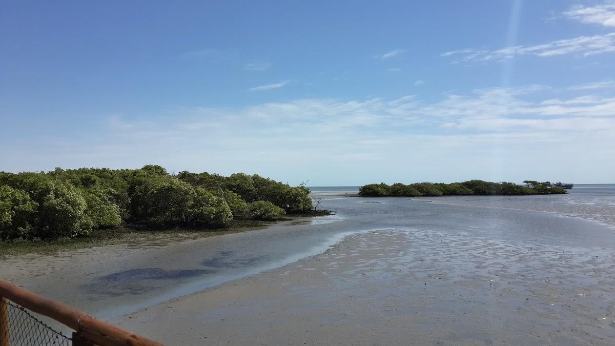 Registro de Marca Icapuí