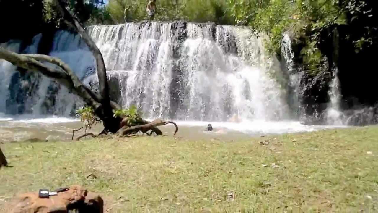 Registro de Marca Iepê