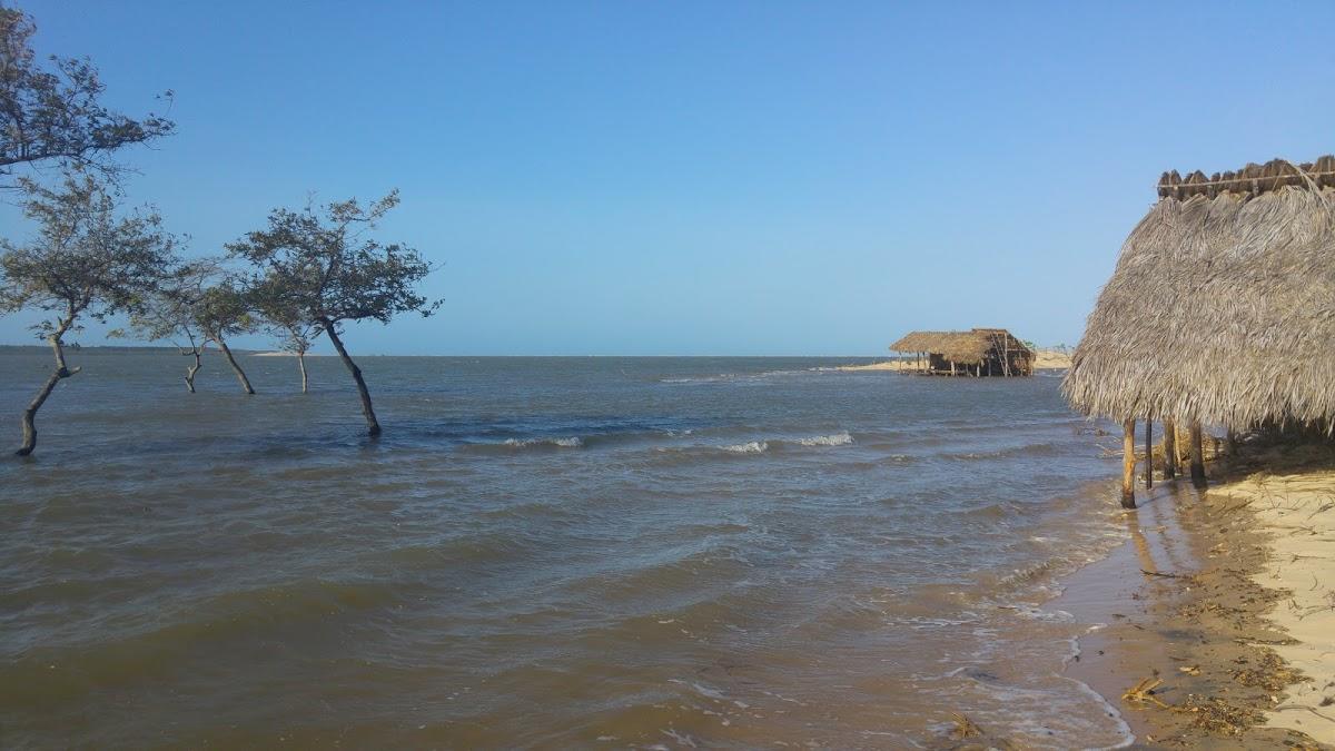 Registro de Marca Ilha Grande