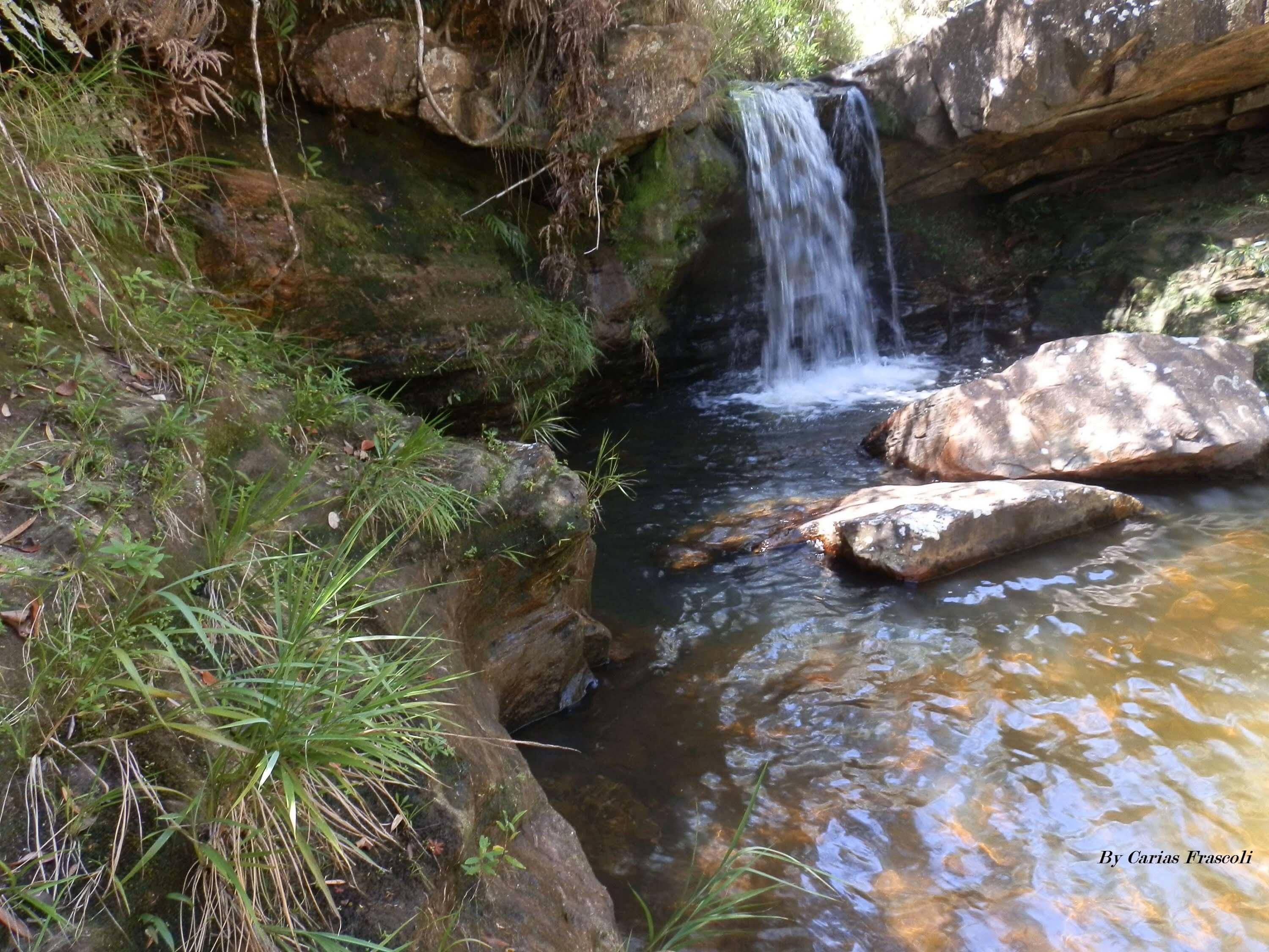 Registro de Marca Ilicínea