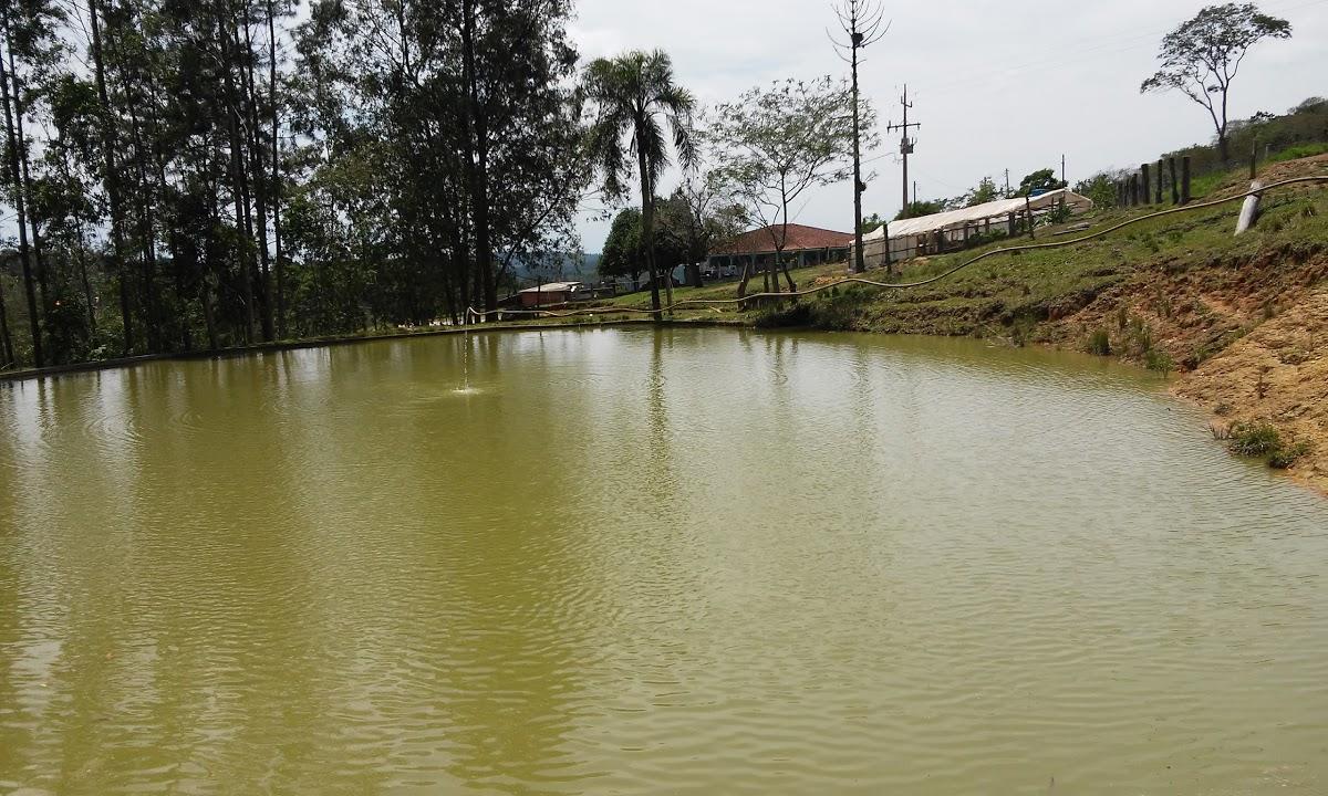 Registro de Marca Imbaú