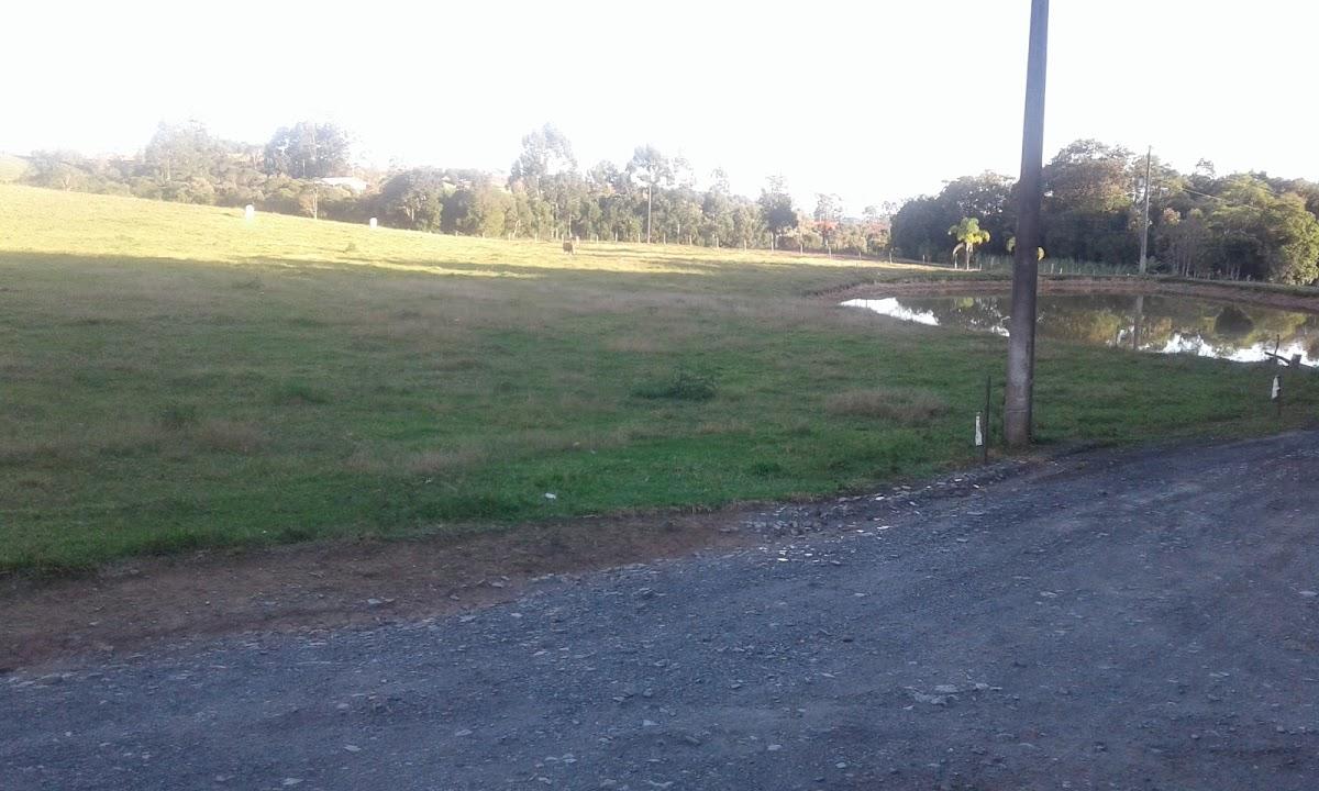 Registro de Marca Imbuia