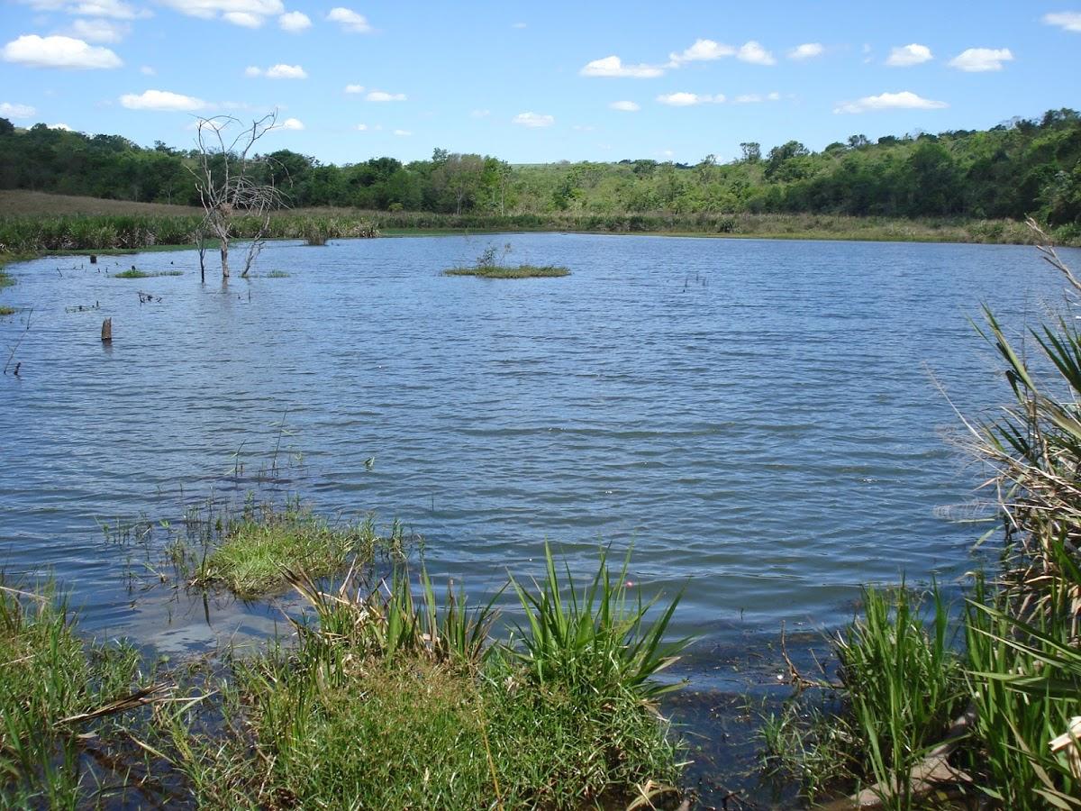 Registro de Marca Indianópolis