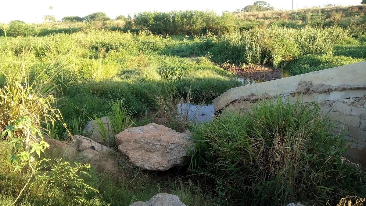 Registro de Marca Indiara