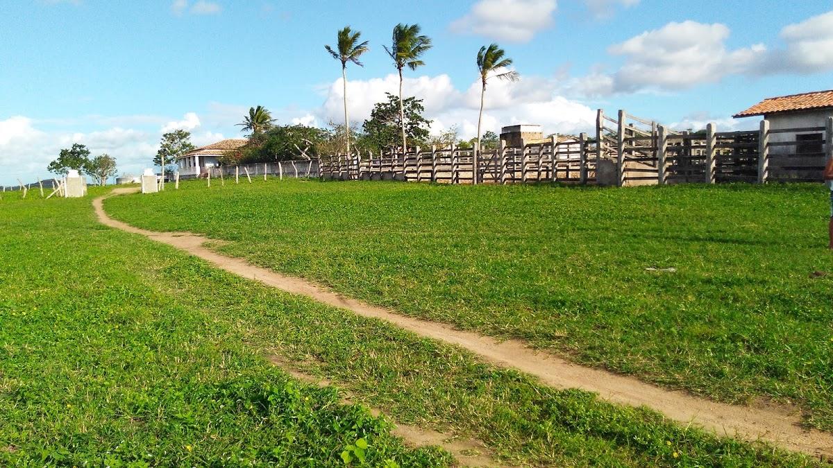 Registro de Marca Ipecaetá