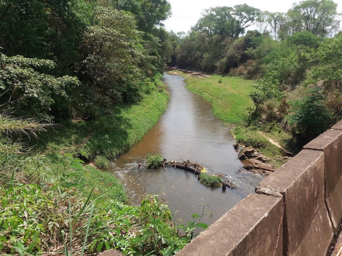 Registro de Marca Ipeúna