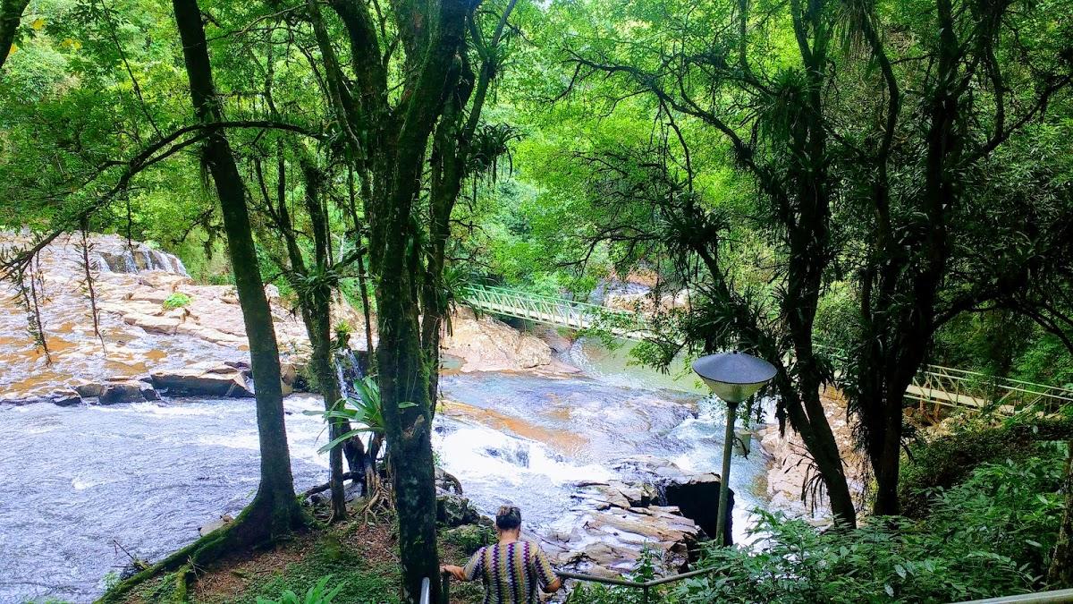 Registro de Marca Ipira