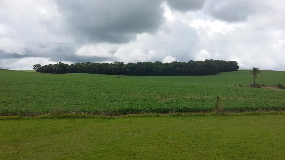 Registro de Marca Ipiranga do Sul