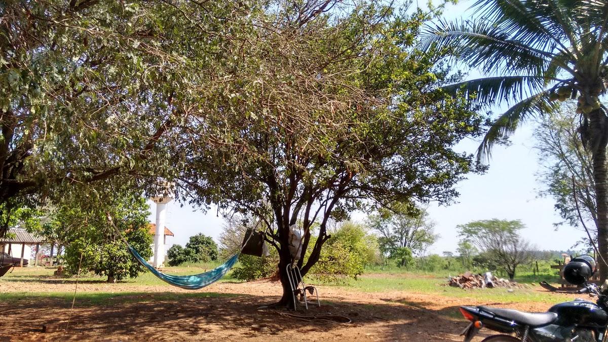 Registro de Marca Irapuru