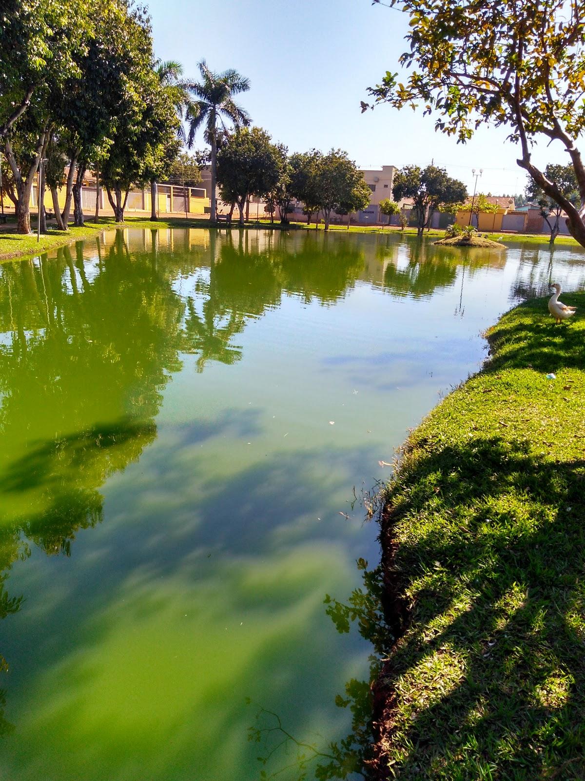 Registro de Marca Itaberaí