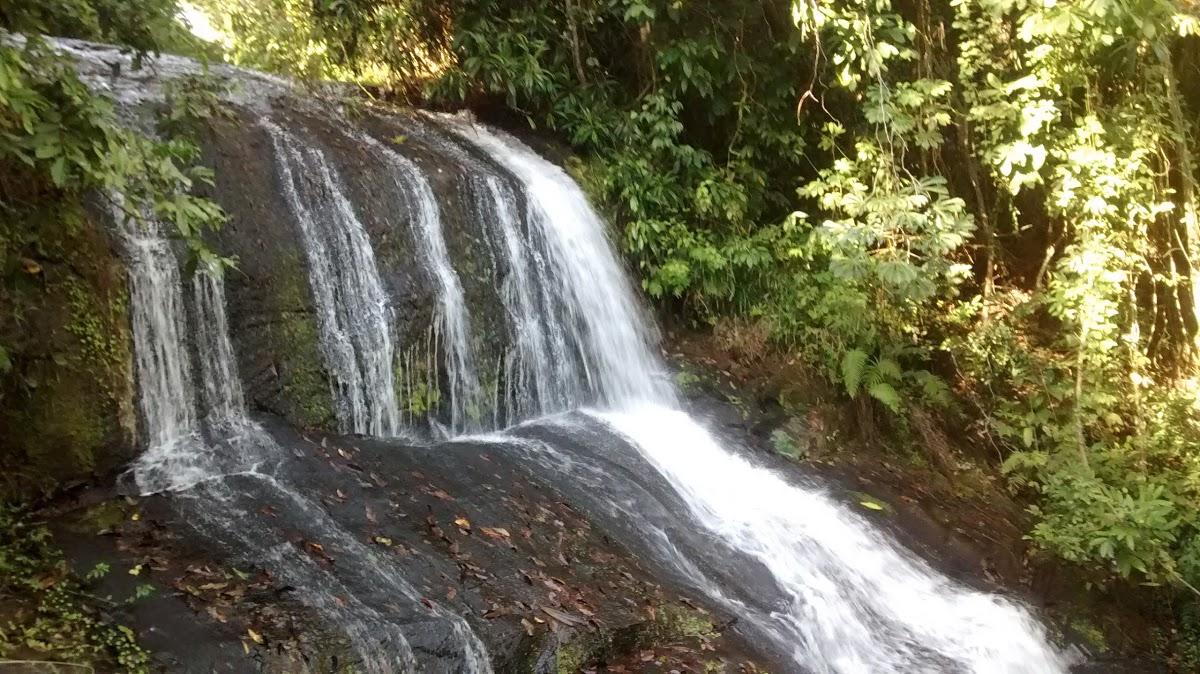 Registro de Marca Italva