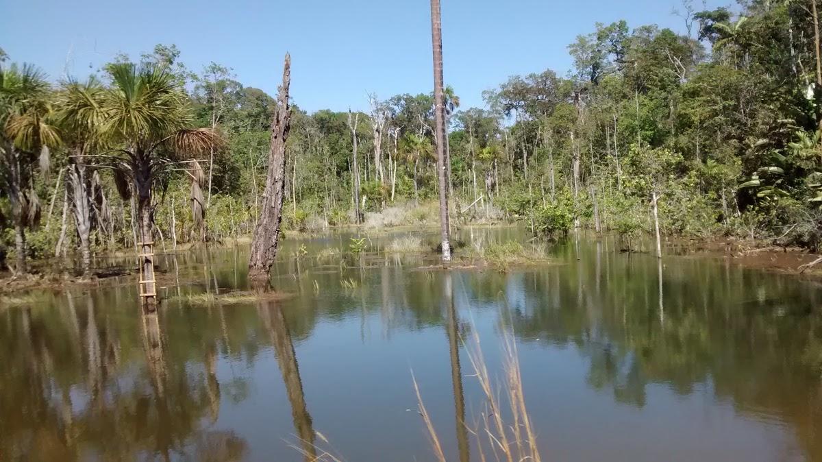 Registro de Marca Itanhangá