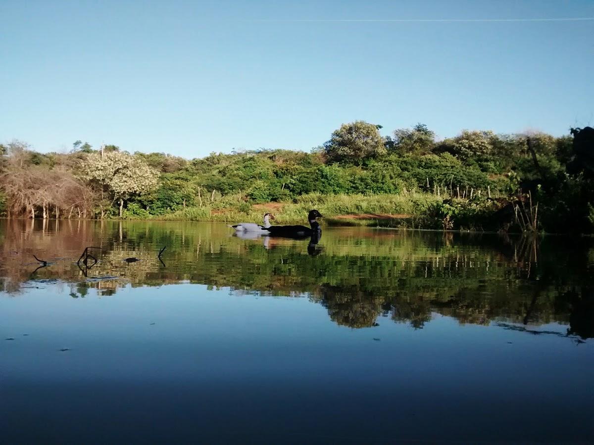 Registro de Marca Itapetim
