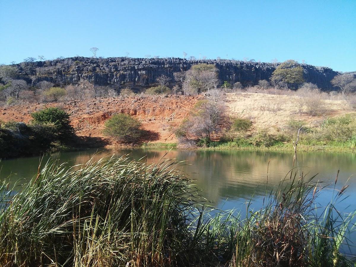 Registro de Marca Iuiú