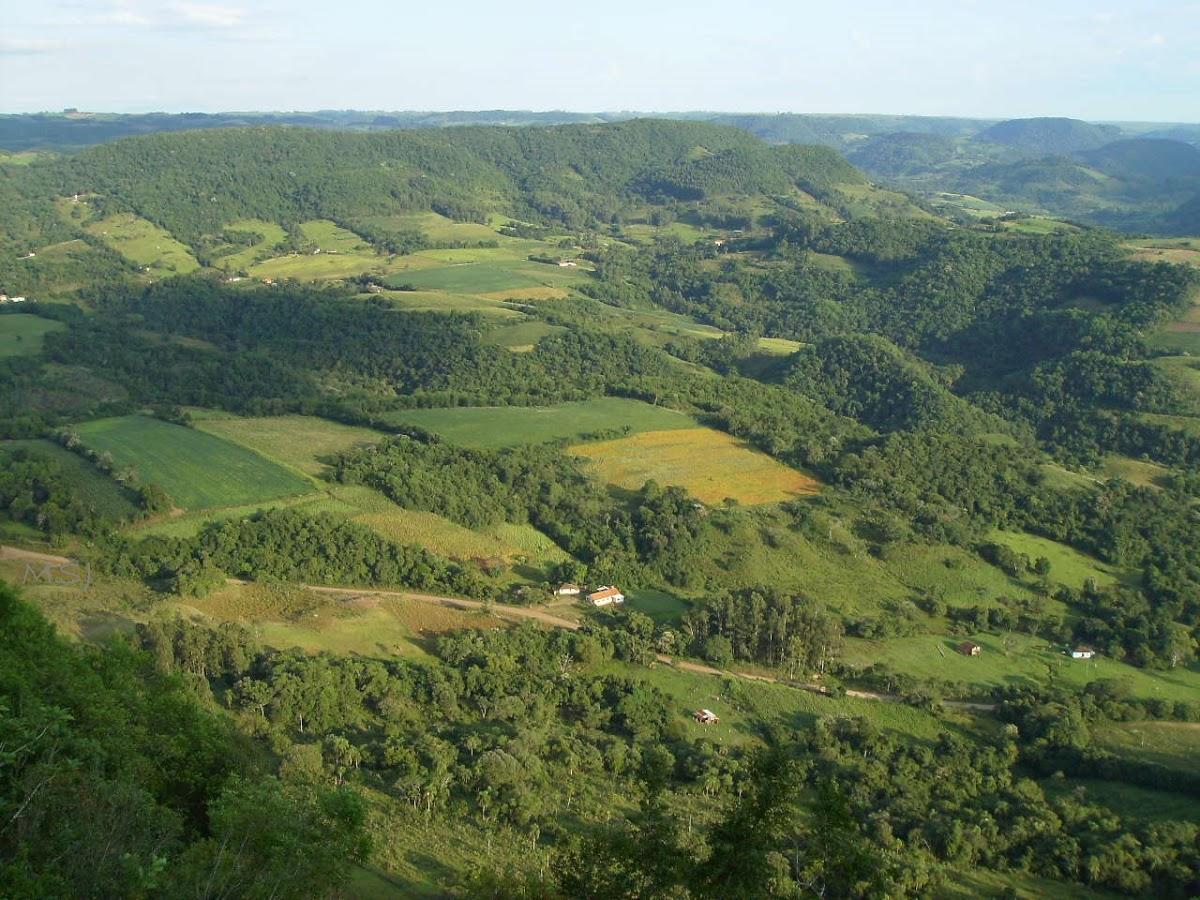 Registro de Marca Ivorá