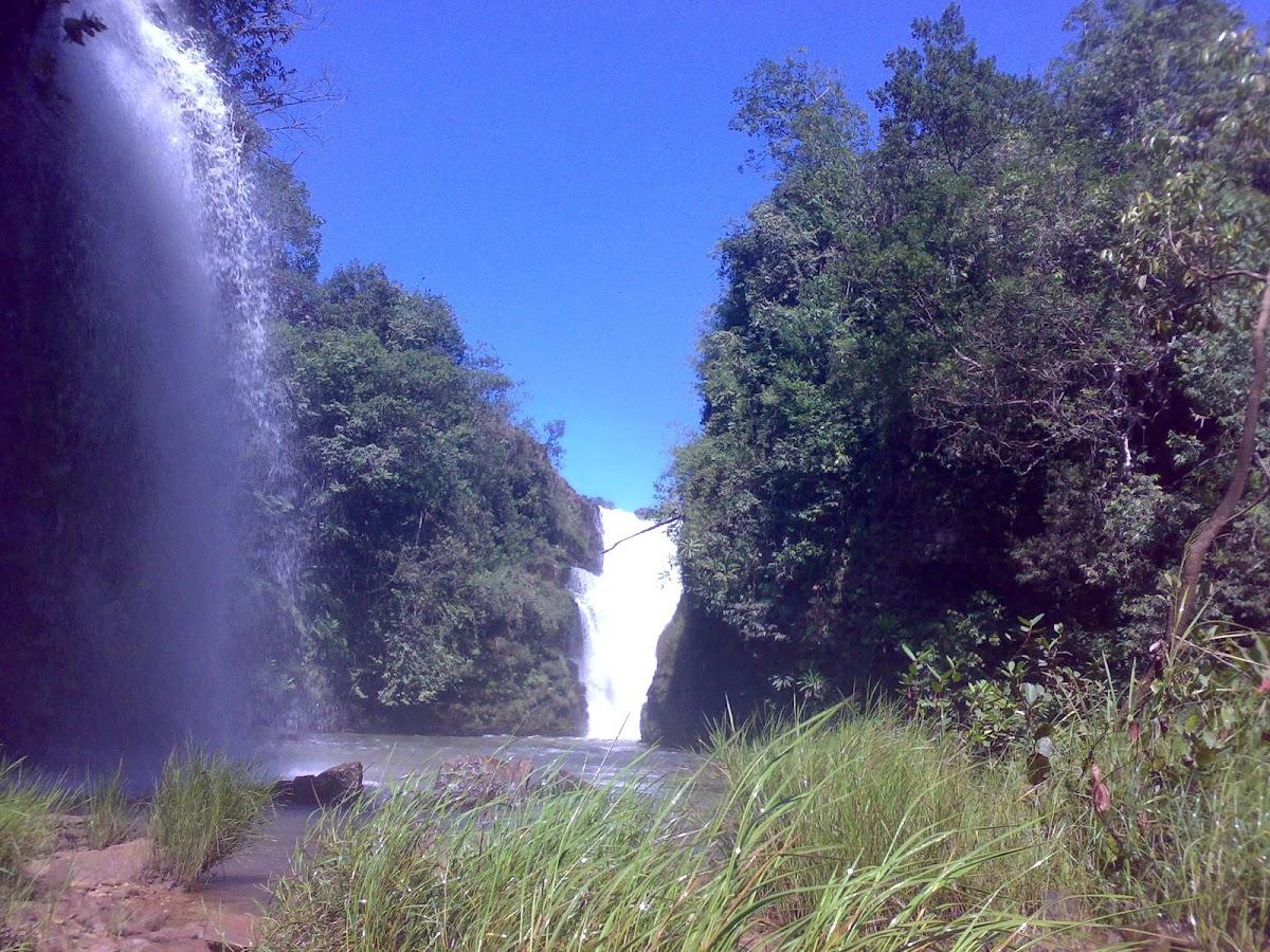 Registro de Marca Jaciara