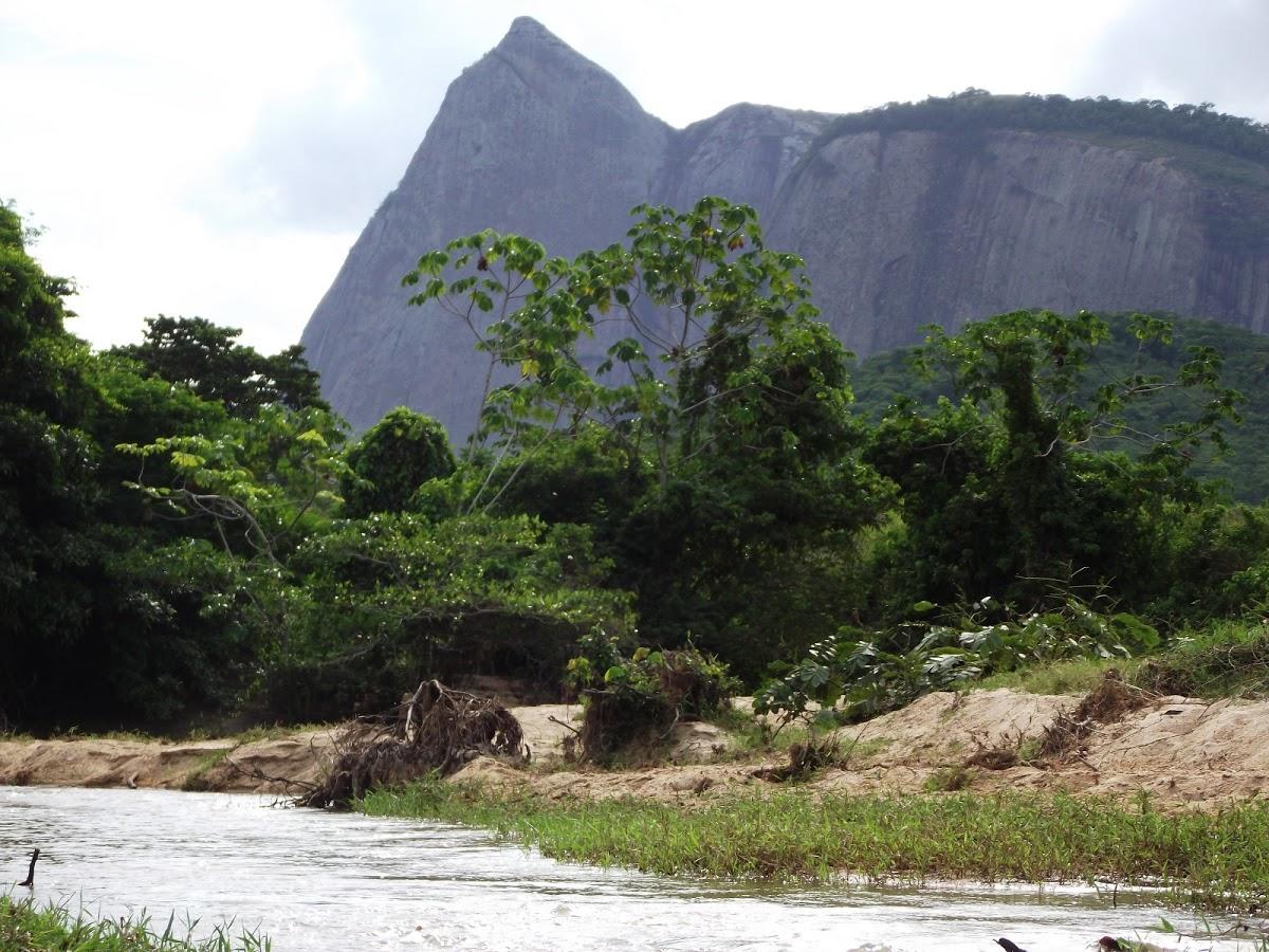 Registro de Marca Jacinto