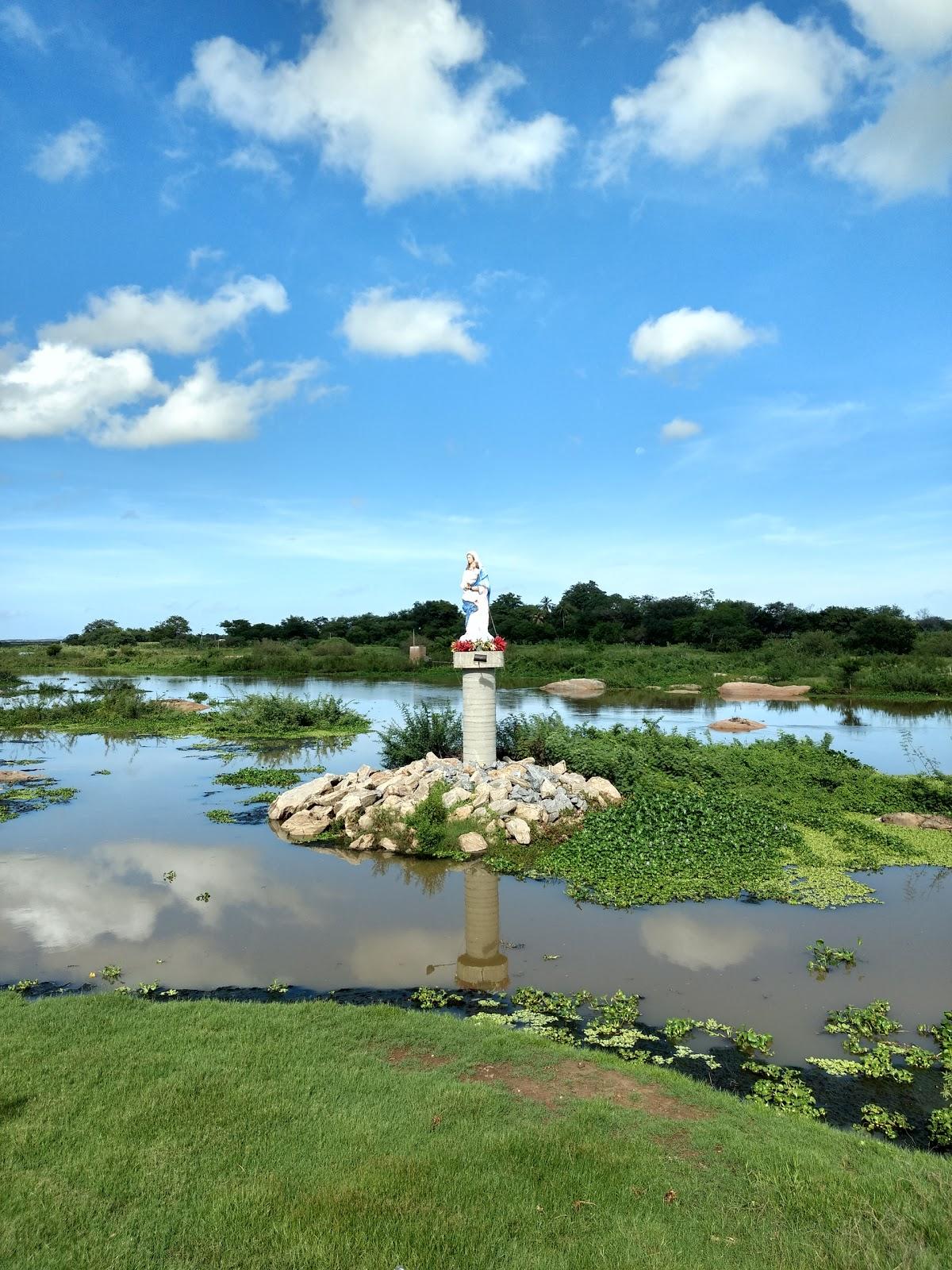 Registro de Marca Jaguaribe