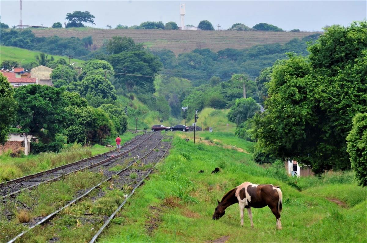 Registro de Marca Jales