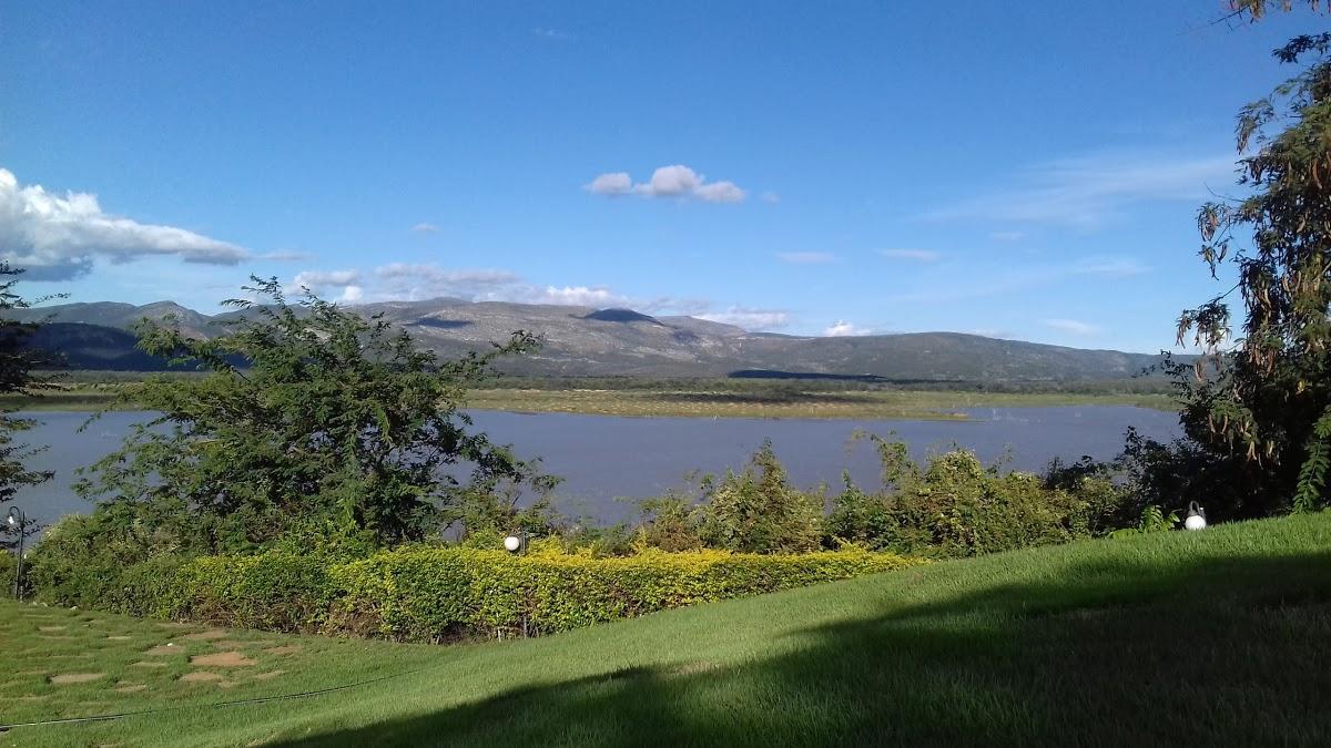 Registro de Marca Janaúba