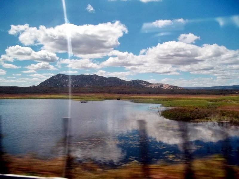 Registro de Marca Janduís