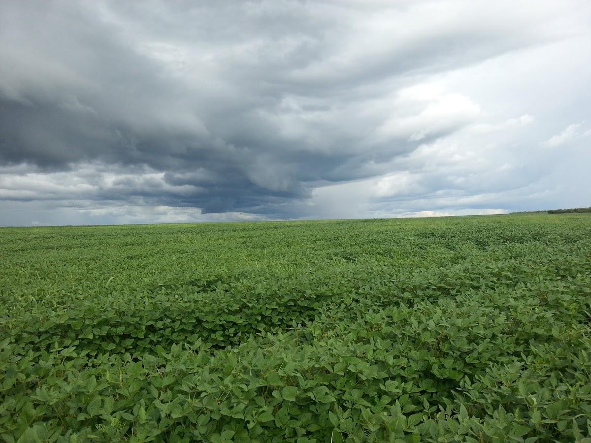 Registro de Marca Jangada