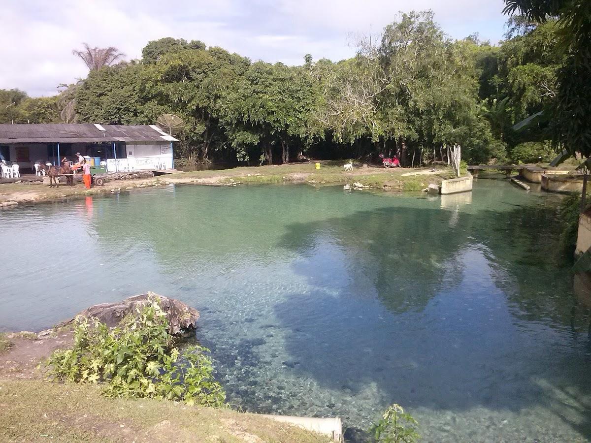 Registro de Marca Japaratuba