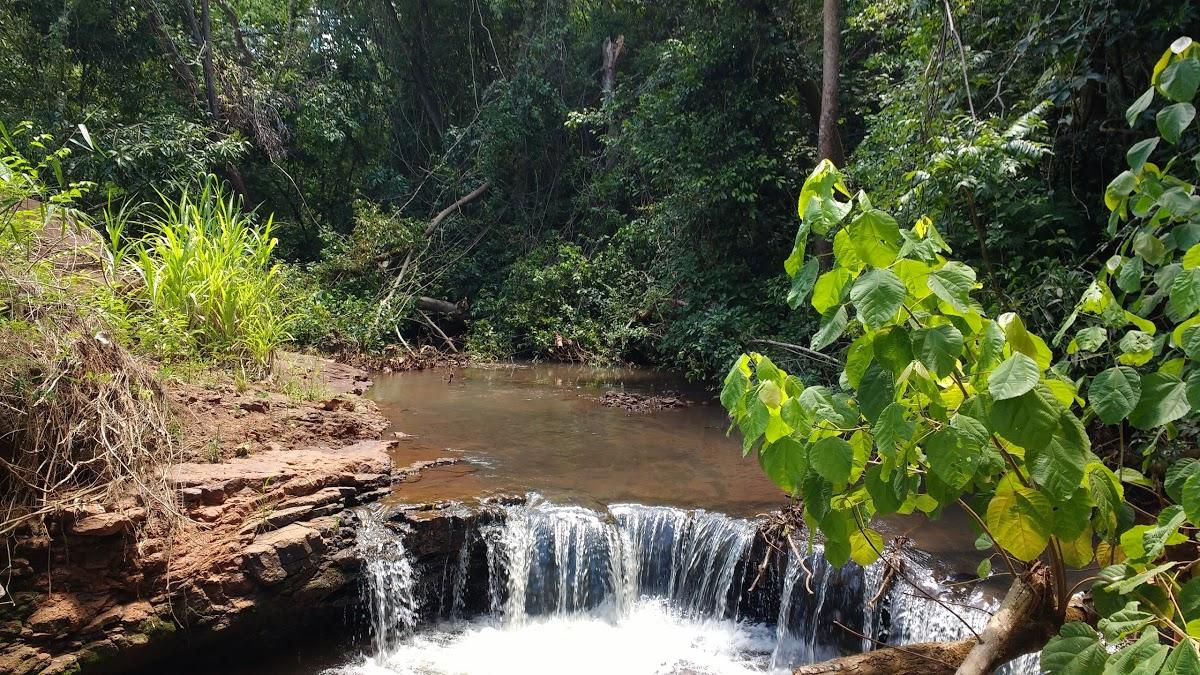 Registro de Marca Japurá