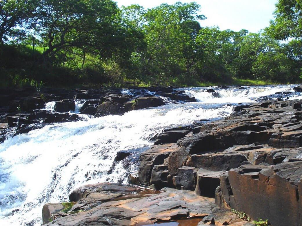 Registro de Marca Jaraguari