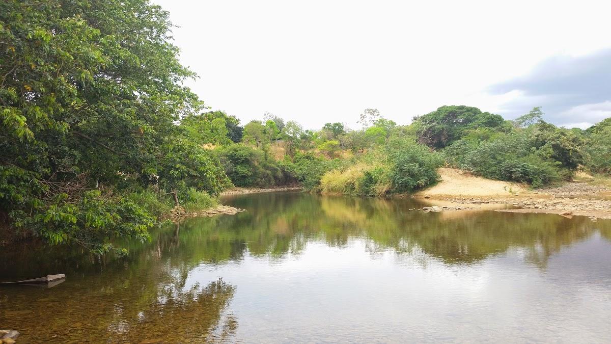 Registro de Marca Jequitaí