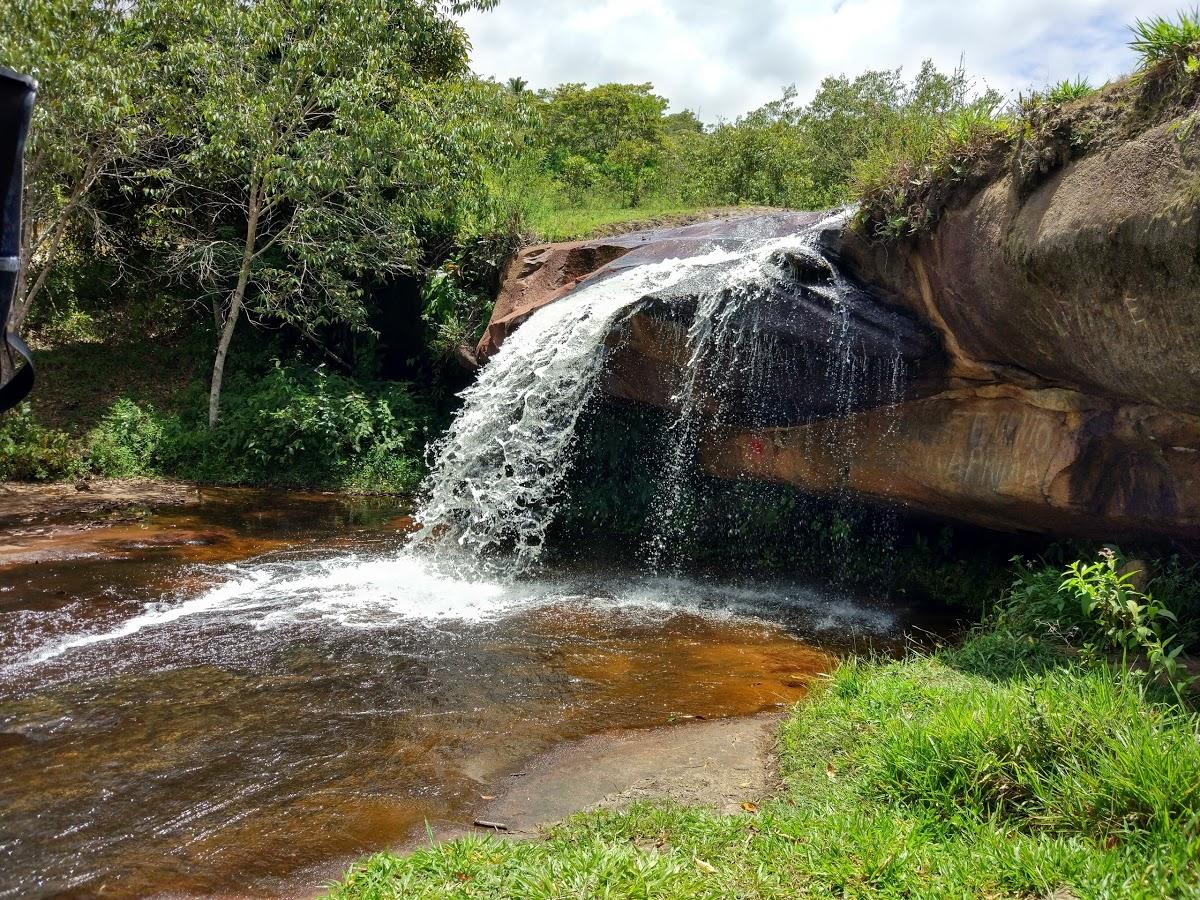 Registro de Marca Jitaúna