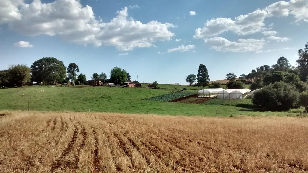 Registro de Marca Jóia