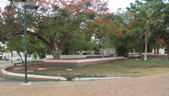 Registro de Marca José de Freitas
