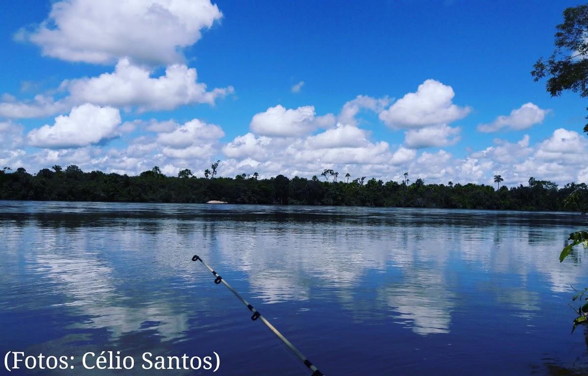 Registro de Marca Juara