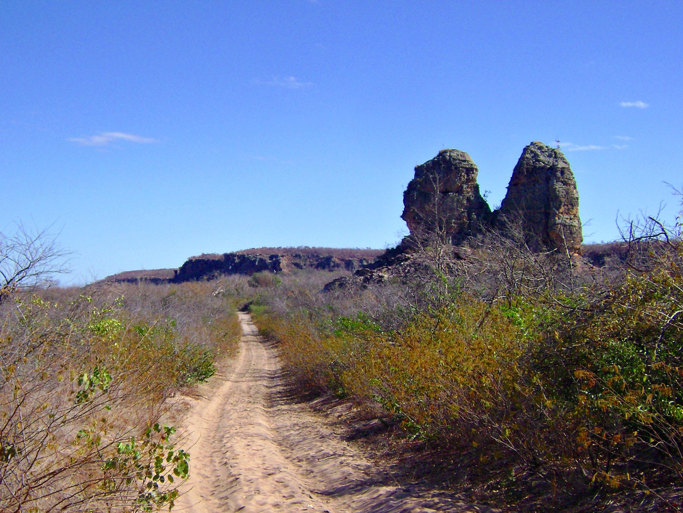 Registro de Marca Jurema