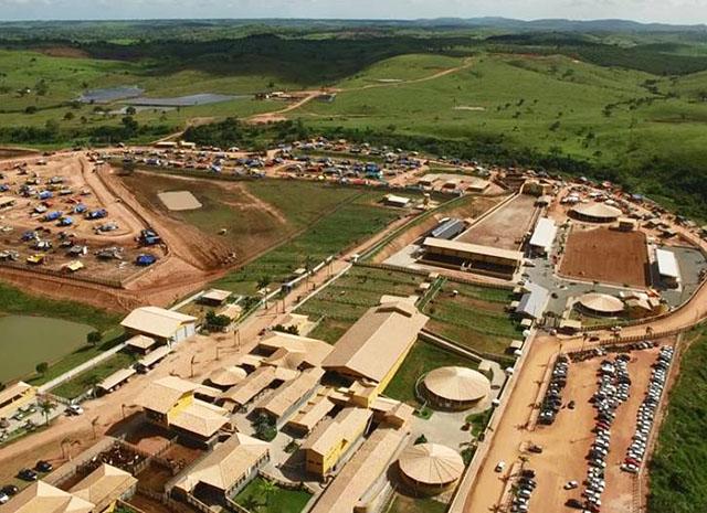 Registro de Marca Lagarto