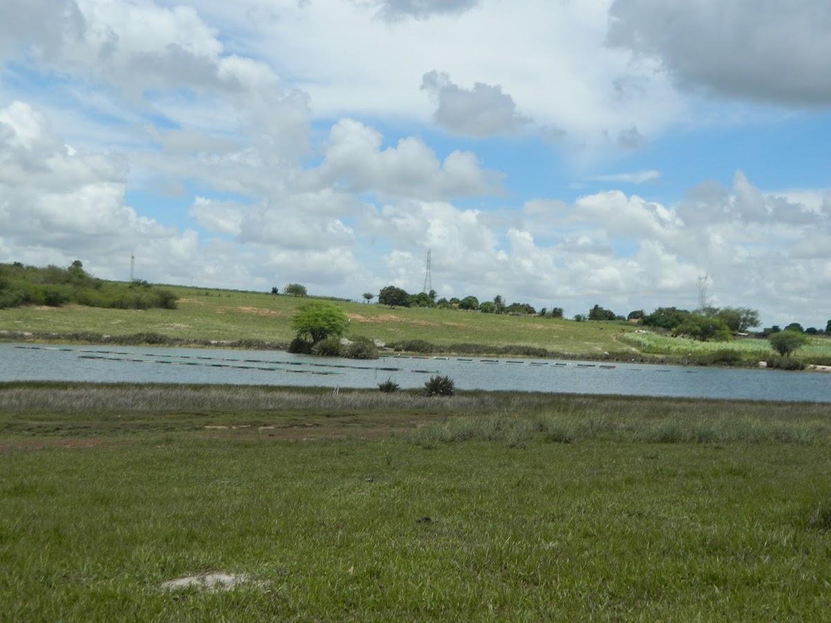 Registro de Marca Lagoa D'Anta