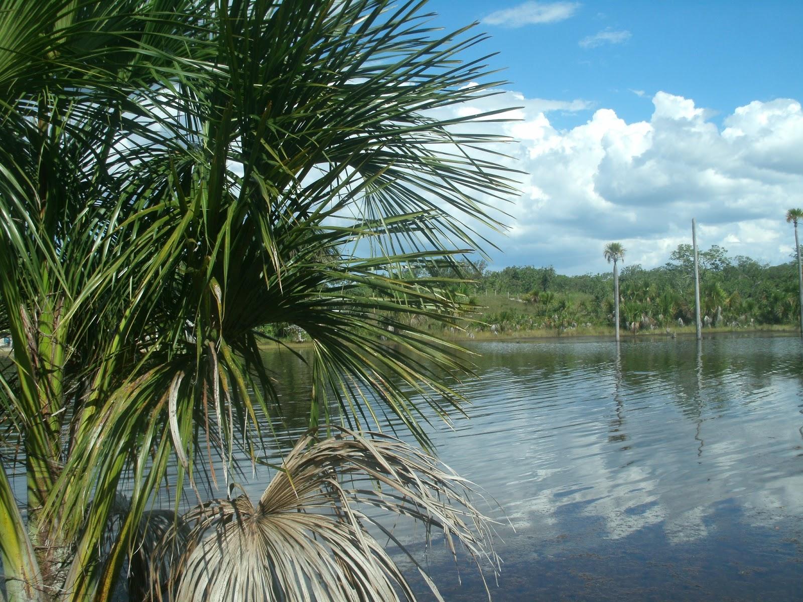Registro de Marca Lagoa do Tocantins