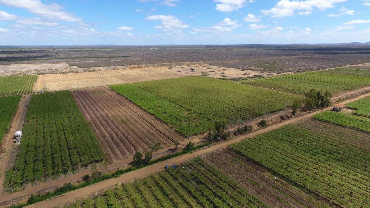 Registro de Marca Lagoa Grande