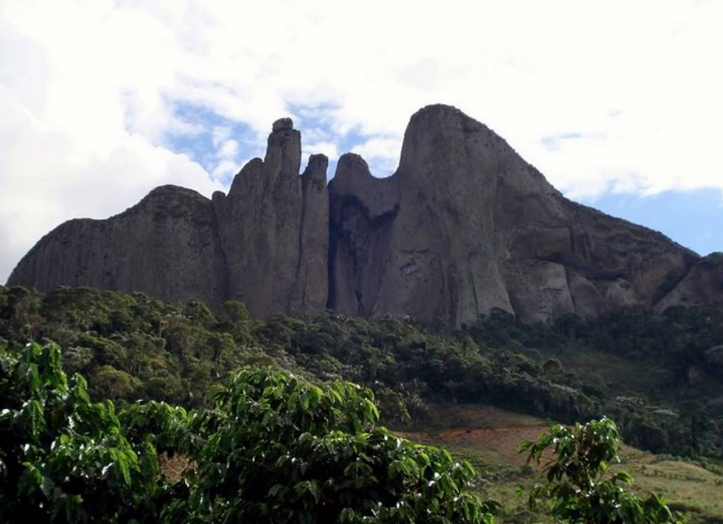 Registro de Marca Laranja da Terra