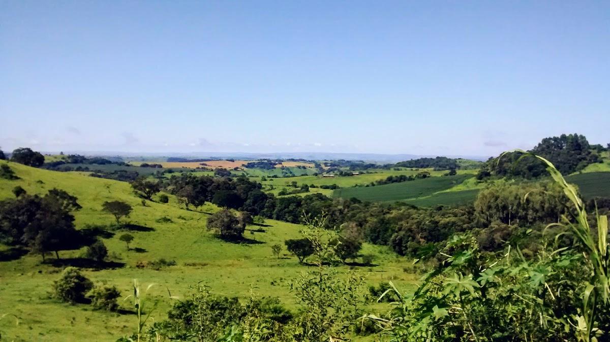 Registro de Marca Laranjal