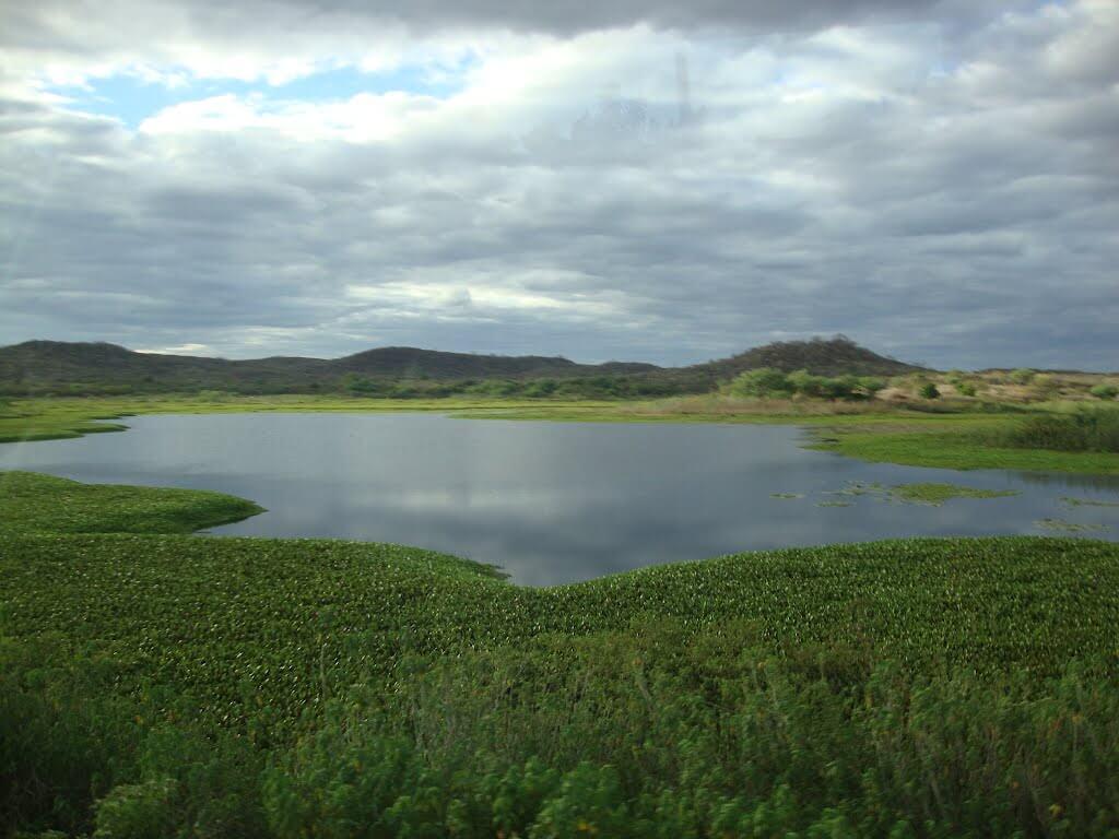 Registro de Marca Lastro