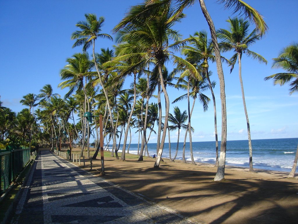 Registro de Marca Lauro de Freitas